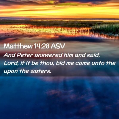 Picture 02 - Matthew 14:28 ASV - And Peter answered him and said, Lord, if it be - Bible Verse Picture