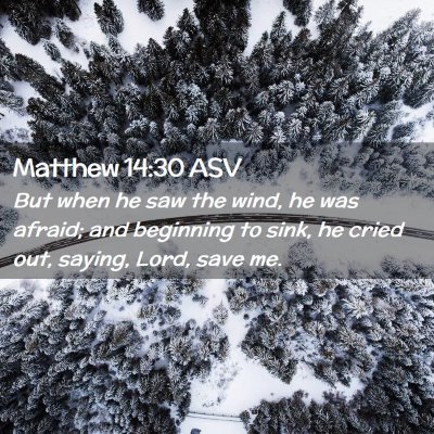 Picture 02 - Matthew 14:30 ASV - But when he saw the wind, he was afraid; and - Bible Verse Picture