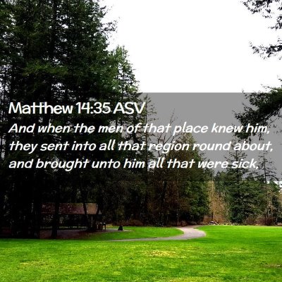 Picture 02 - Matthew 14:35 ASV - And when the men of that place knew him, they - Bible Verse Picture