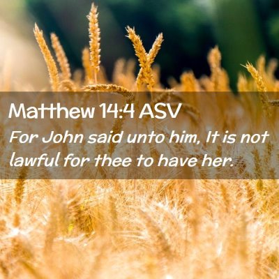 Picture 02 - Matthew 14:4 ASV - For John said unto him, It is not lawful for thee - Bible Verse Picture