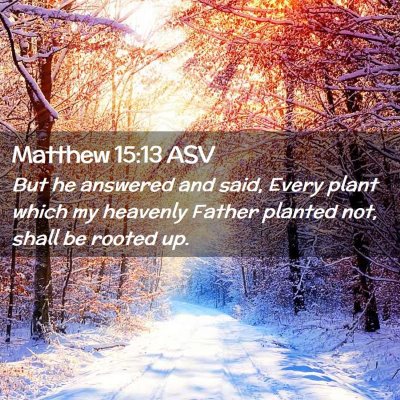 Picture 02 - Matthew 15:13 ASV - But he answered and said, Every plant which my - Bible Verse Picture