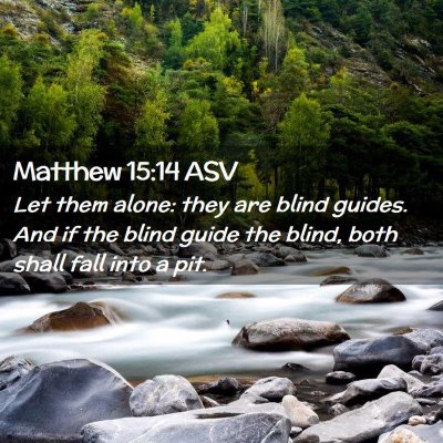 Picture 02 - Matthew 15:14 ASV - Let them alone: they are blind guides. And if the - Bible Verse Picture