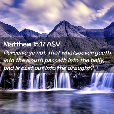 Picture 02 - Matthew 15:17 ASV - Perceive ye not, that whatsoever goeth into the - Bible Verse Picture