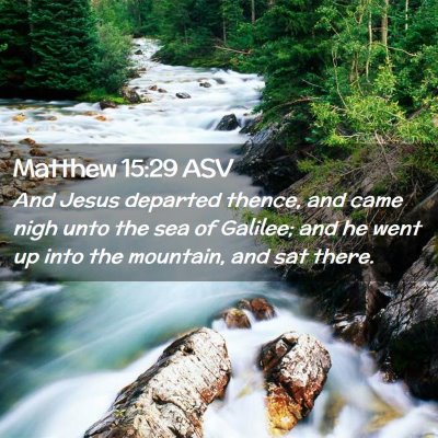 Picture 02 - Matthew 15:29 ASV - And Jesus departed thence, and came nigh unto the - Bible Verse Picture
