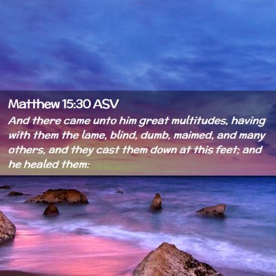 Picture 02 - Matthew 15:30 ASV - And there came unto him great multitudes, having - Bible Verse Picture