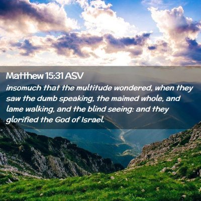 Picture 02 - Matthew 15:31 ASV - insomuch that the multitude wondered, when they - Bible Verse Picture