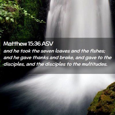 Picture 02 - Matthew 15:36 ASV - and he took the seven loaves and the fishes; and - Bible Verse Picture
