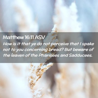 Picture 02 - Matthew 16:11 ASV - How is it that ye do not perceive that I spake - Bible Verse Picture