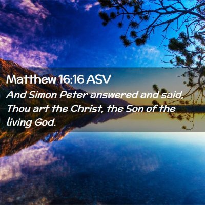 Picture 02 - Matthew 16:16 ASV - And Simon Peter answered and said, Thou art the - Bible Verse Picture