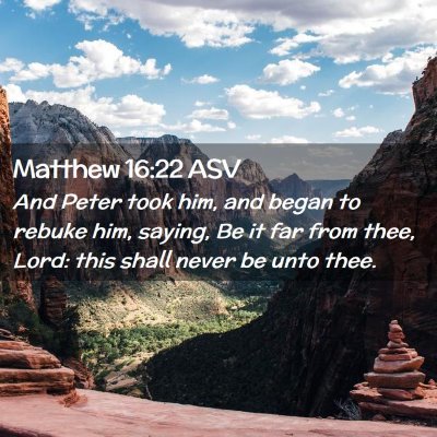 Picture 02 - Matthew 16:22 ASV - And Peter took him, and began to rebuke him, - Bible Verse Picture
