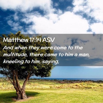 Picture 02 - Matthew 17:14 ASV - And when they were come to the multitude, there - Bible Verse Picture