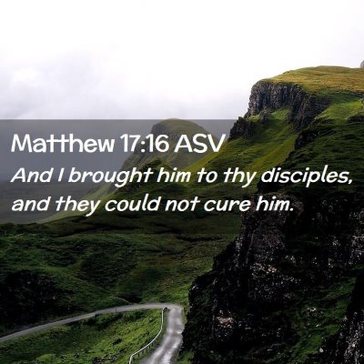 Picture 02 - Matthew 17:16 ASV - And I brought him to thy disciples, and they - Bible Verse Picture