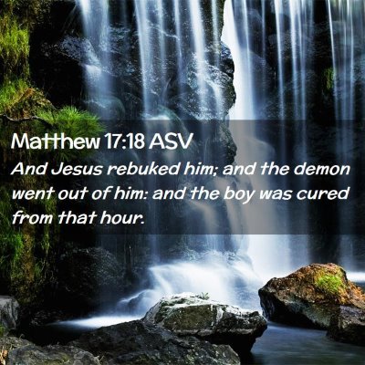 Picture 02 - Matthew 17:18 ASV - And Jesus rebuked him; and the demon went out of - Bible Verse Picture