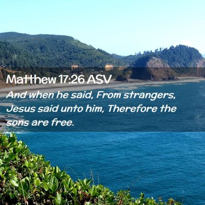 Picture 02 - Matthew 17:26 ASV - And when he said, From strangers, Jesus said unto - Bible Verse Picture