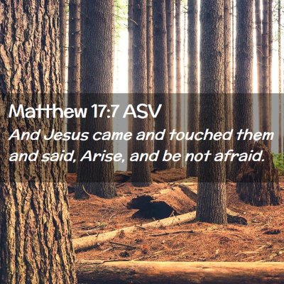 Picture 02 - Matthew 17:7 ASV - And Jesus came and touched them and said, Arise, - Bible Verse Picture
