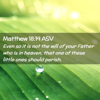 Picture 02 - Matthew 18:14 ASV - Even so it is not the will of your Father who is - Bible Verse Picture