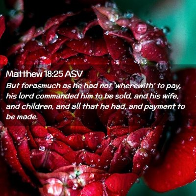 Picture 02 - Matthew 18:25 ASV - But forasmuch as he had not `wherewith' to pay, - Bible Verse Picture