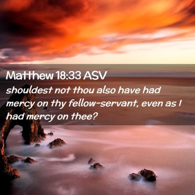 Picture 02 - Matthew 18:33 ASV - shouldest not thou also have had mercy on thy - Bible Verse Picture