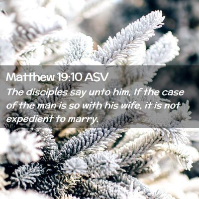 Picture 02 - Matthew 19:10 ASV - The disciples say unto him, If the case of the - Bible Verse Picture