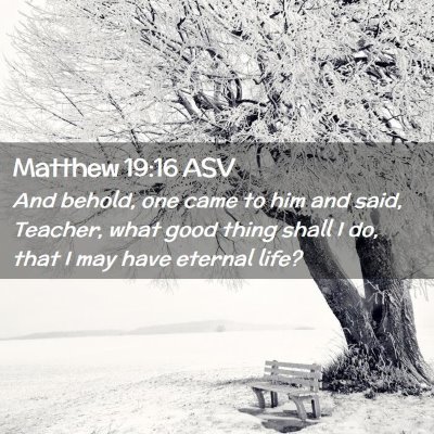 Picture 02 - Matthew 19:16 ASV - And behold, one came to him and said, Teacher, - Bible Verse Picture
