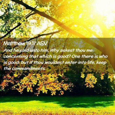 Picture 02 - Matthew 19:17 ASV - And he said unto him, Why askest thou me - Bible Verse Picture