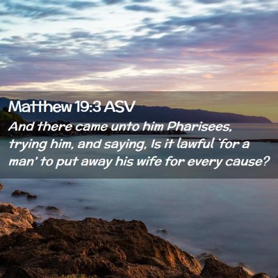 Picture 02 - Matthew 19:3 ASV - And there came unto him Pharisees, trying him, - Bible Verse Picture