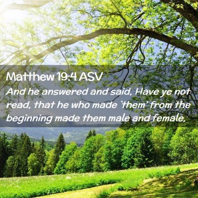 Picture 02 - Matthew 19:4 ASV - And he answered and said, Have ye not read, that - Bible Verse Picture