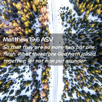 Picture 02 - Matthew 19:6 ASV - So that they are no more two, but one flesh. What - Bible Verse Picture