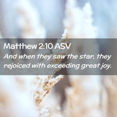 Picture 02 - Matthew 2:10 ASV - And when they saw the star, they rejoiced with - Bible Verse Picture