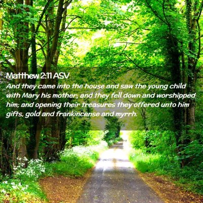 Picture 02 - Matthew 2:11 ASV - And they came into the house and saw the young - Bible Verse Picture