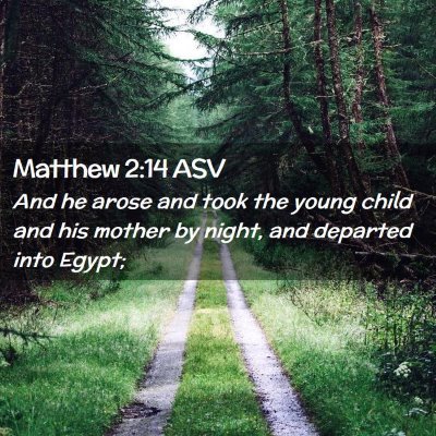 Picture 02 - Matthew 2:14 ASV - And he arose and took the young child and his - Bible Verse Picture
