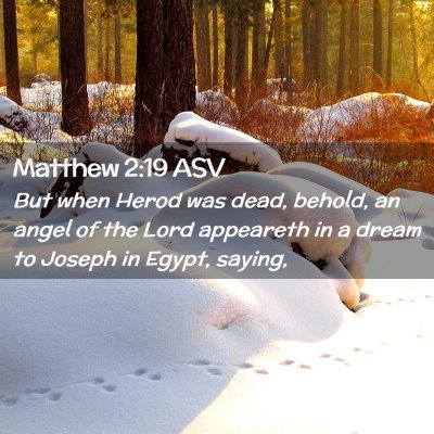 Picture 02 - Matthew 2:19 ASV - But when Herod was dead, behold, an angel of the - Bible Verse Picture