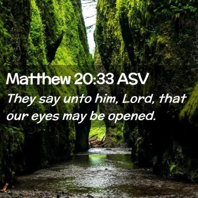 Picture 02 - Matthew 20:33 ASV - They say unto him, Lord, that our eyes may be - Bible Verse Picture