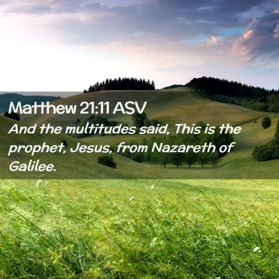 Picture 02 - Matthew 21:11 ASV - And the multitudes said, This is the prophet, - Bible Verse Picture