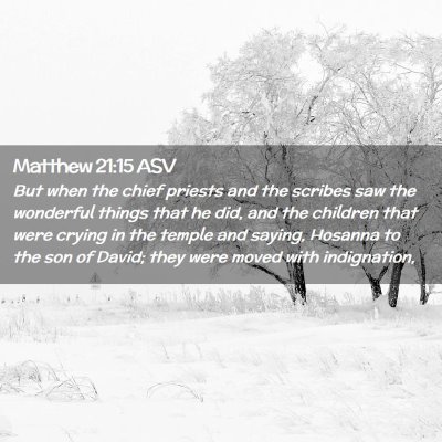 Picture 02 - Matthew 21:15 ASV - But when the chief priests and the scribes saw - Bible Verse Picture