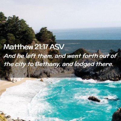 Picture 02 - Matthew 21:17 ASV - And he left them, and went forth out of the city - Bible Verse Picture