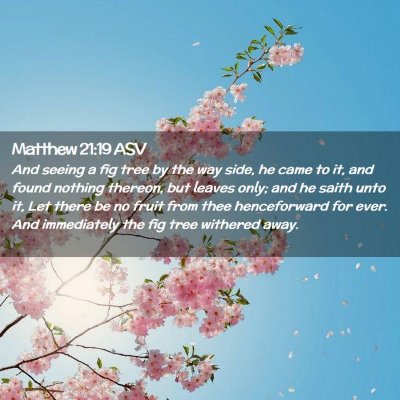 Picture 02 - Matthew 21:19 ASV - And seeing a fig tree by the way side, he came to - Bible Verse Picture
