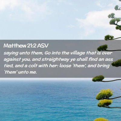 Picture 02 - Matthew 21:2 ASV - saying unto them, Go into the village that is - Bible Verse Picture