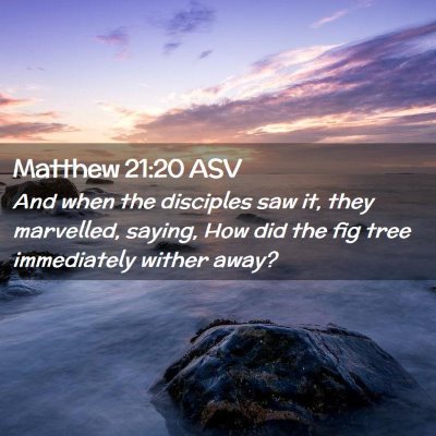 Picture 02 - Matthew 21:20 ASV - And when the disciples saw it, they marvelled, - Bible Verse Picture