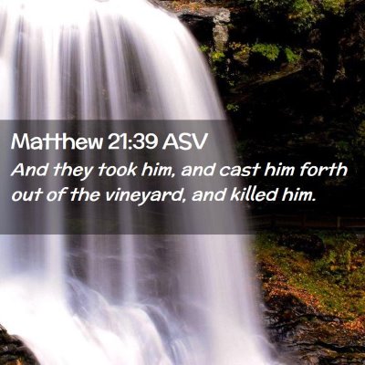Picture 02 - Matthew 21:39 ASV - And they took him, and cast him forth out of the - Bible Verse Picture