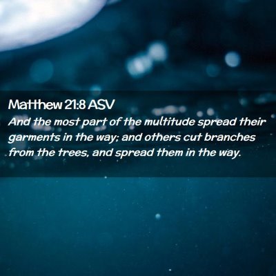 Picture 02 - Matthew 21:8 ASV - And the most part of the multitude spread their - Bible Verse Picture