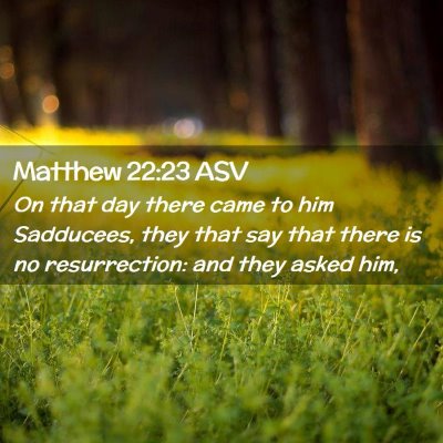 Picture 02 - Matthew 22:23 ASV - On that day there came to him Sadducees, they - Bible Verse Picture