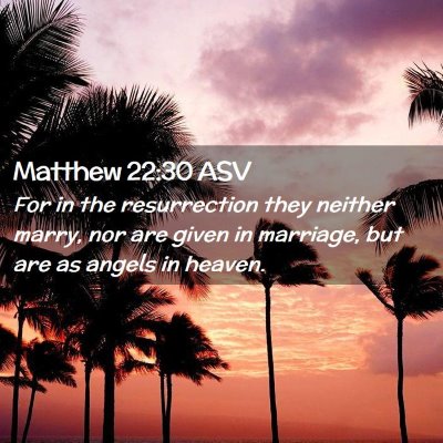 Picture 02 - Matthew 22:30 ASV - For in the resurrection they neither marry, nor - Bible Verse Picture
