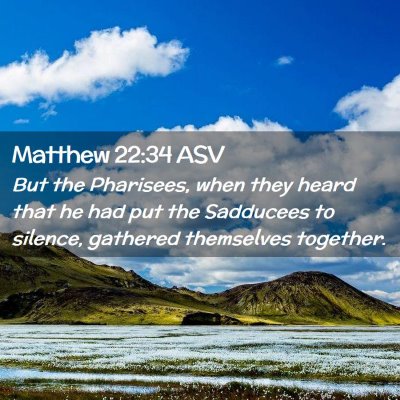 Picture 02 - Matthew 22:34 ASV - But the Pharisees, when they heard that he had - Bible Verse Picture