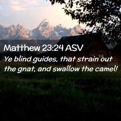 Picture 02 - Matthew 23:24 ASV - Ye blind guides, that strain out the gnat, and - Bible Verse Picture
