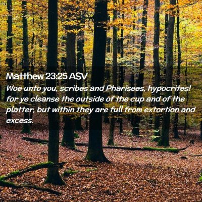 Picture 02 - Matthew 23:25 ASV - Woe unto you, scribes and Pharisees, hypocrites! - Bible Verse Picture