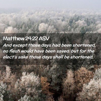 Picture 02 - Matthew 24:22 ASV - And except those days had been shortened, no - Bible Verse Picture