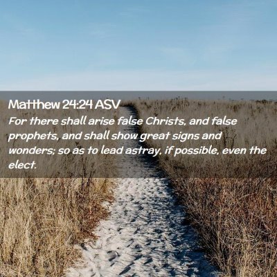 Picture 02 - Matthew 24:24 ASV - For there shall arise false Christs, and false - Bible Verse Picture