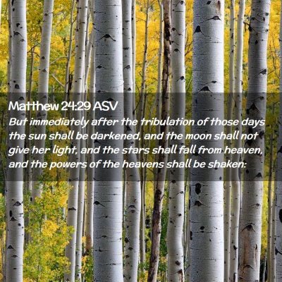 Picture 02 - Matthew 24:29 ASV - But immediately after the tribulation of those - Bible Verse Picture