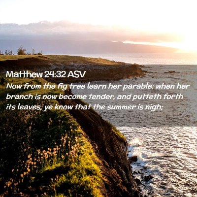 Picture 02 - Matthew 24:32 ASV - Now from the fig tree learn her parable: when her - Bible Verse Picture